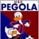 Usc Pegola